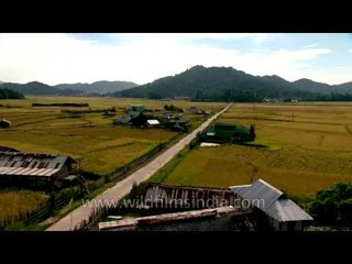 The entry to Hari Village: In Ziro Village