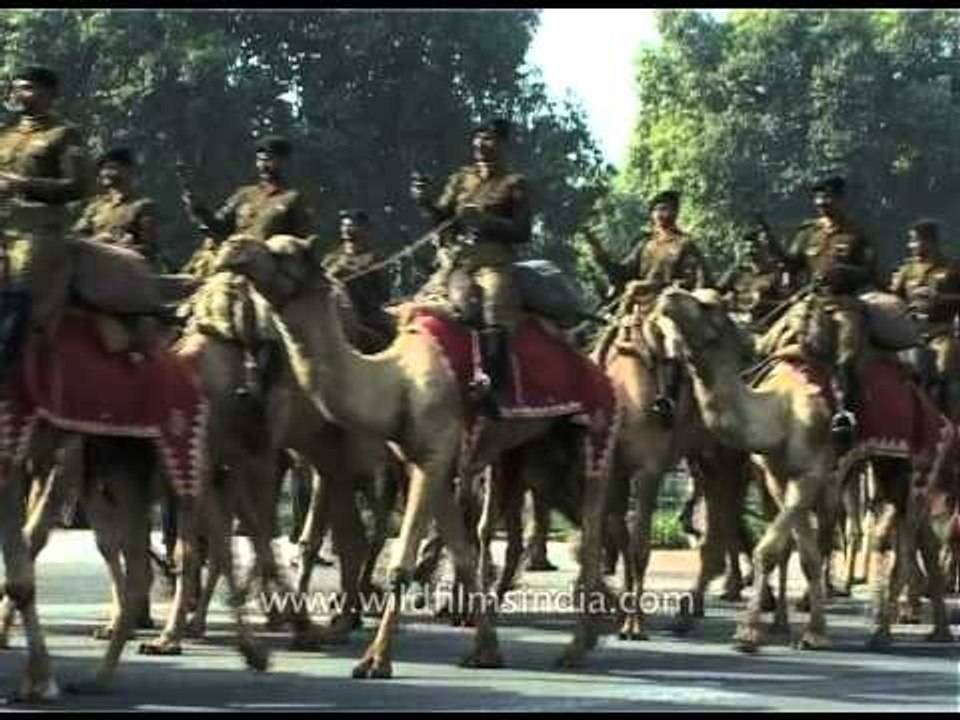 Army men riding on camels participating on Republic day