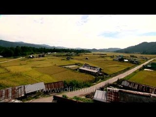 Paddy fields in Hari Village: View from the top