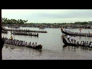 Boats start race in full vigour: Snakeboat race