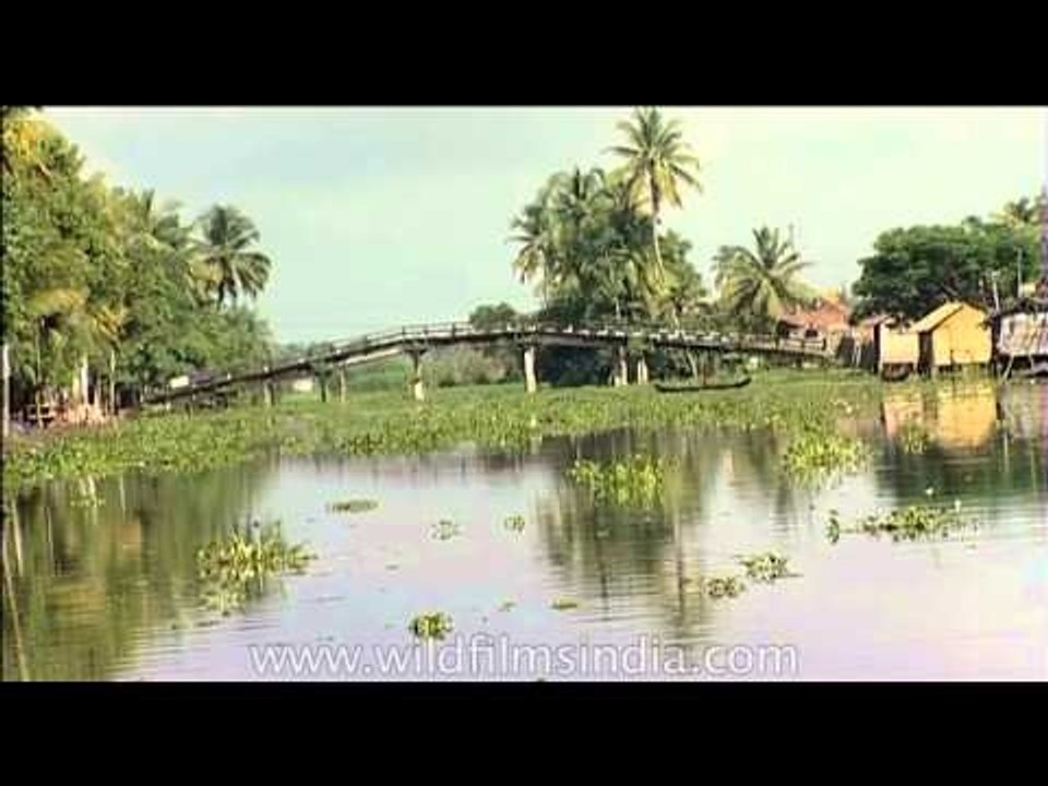 Picturesque bridge on the backwaters: Kerala