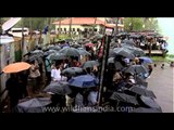 Amazing audience of amazing sport - Nehru Trophy Boat Race