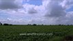 Time lapse : Clouds running above the fields