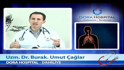 Domuz Gribi - Fragman