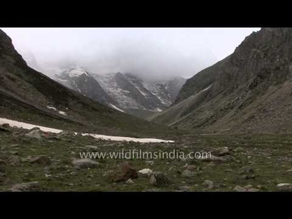 Wild horses, gushing streams and open valleys: The Gidara Meadow