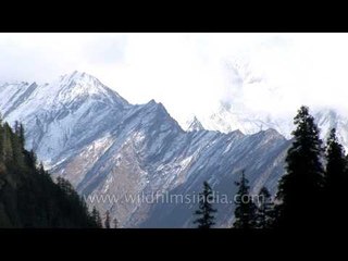 Uttarakhand hdv Gidara trek 759 1