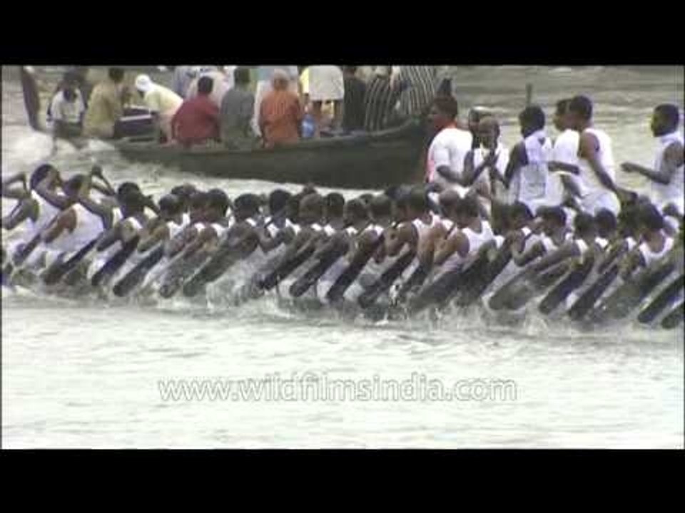 The largest team sport in the world : Snake Boat Race
