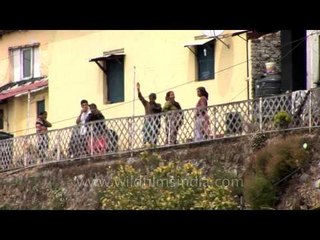 People dancing during Holy celebration in Mall Road, Mussoorie.
