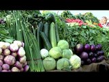 Fresh and healthy vegetables in Dehra dun