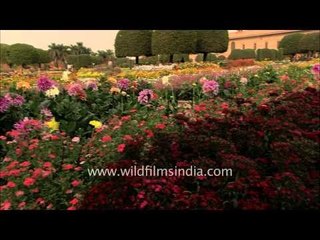 Mughal Garden : The pride of President's House