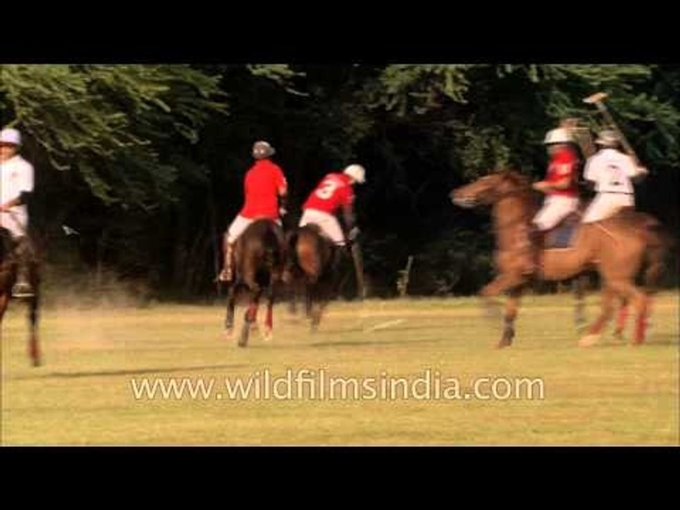 The sport of Polo