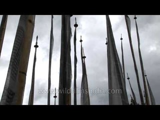 Bhutan's Bumthang district through Temple Flags atop a hill