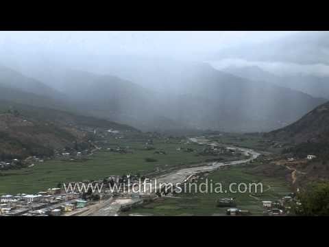 Bhutan - Paro Chhu river and green rice fields as far as the eye can see
