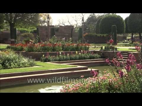 Delhi: President's Flowers at Mughal Gardens