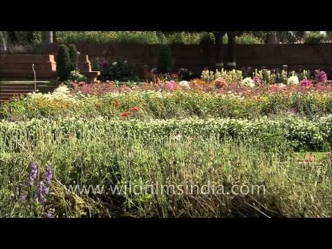 Delhi: President's Flowers at Mughal Gardens