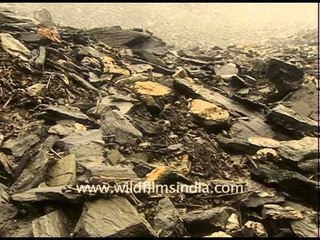 Skeleton Lake of Roopkund