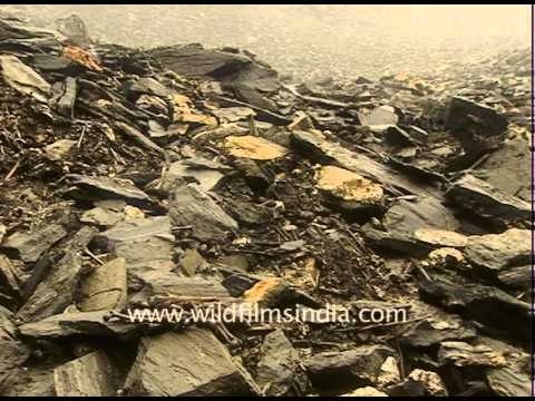 Skeleton Lake of Roopkund
