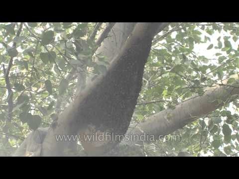 This is where your honey comes from!