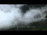 Mountain ranges covered in mist in the valleys of Munnar