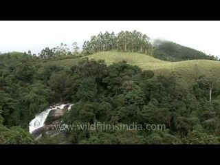 The rolling hills of Munnar in Kerala