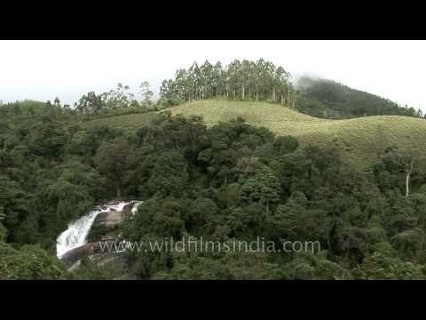 The rolling hills of Munnar in Kerala