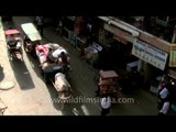 Bullock cart in Paharganj, Delhi