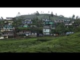 Munnar hills carpeted with verdant tea plantations