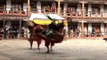 Black Hat Dance (Shana) dance being performed in Bumthang, Bhutan
