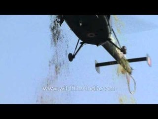 Chopper showers flowers on IMA parade