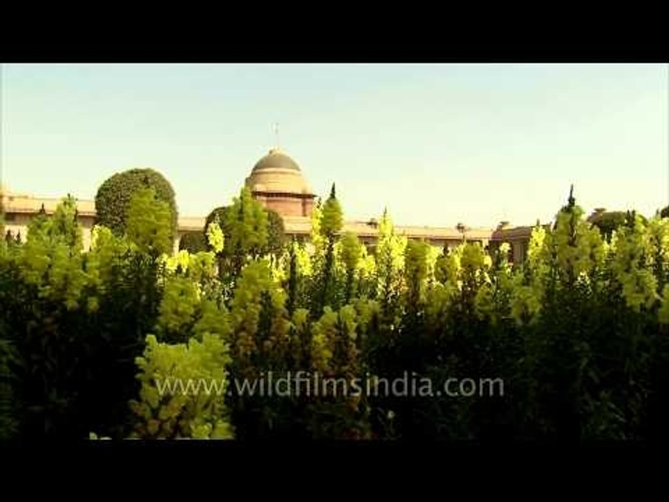 Flowers of various kind at President Estate, Mughal garden