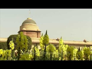 Flower garden at the backyard of the President house
