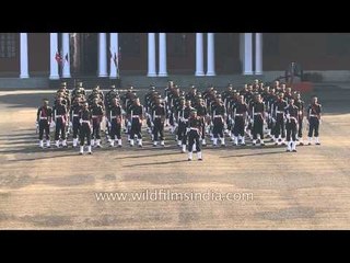 Companies being addresses by Chief of Army