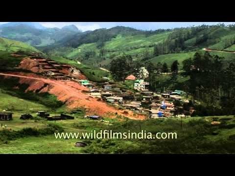 A view of Munnar in Kerala