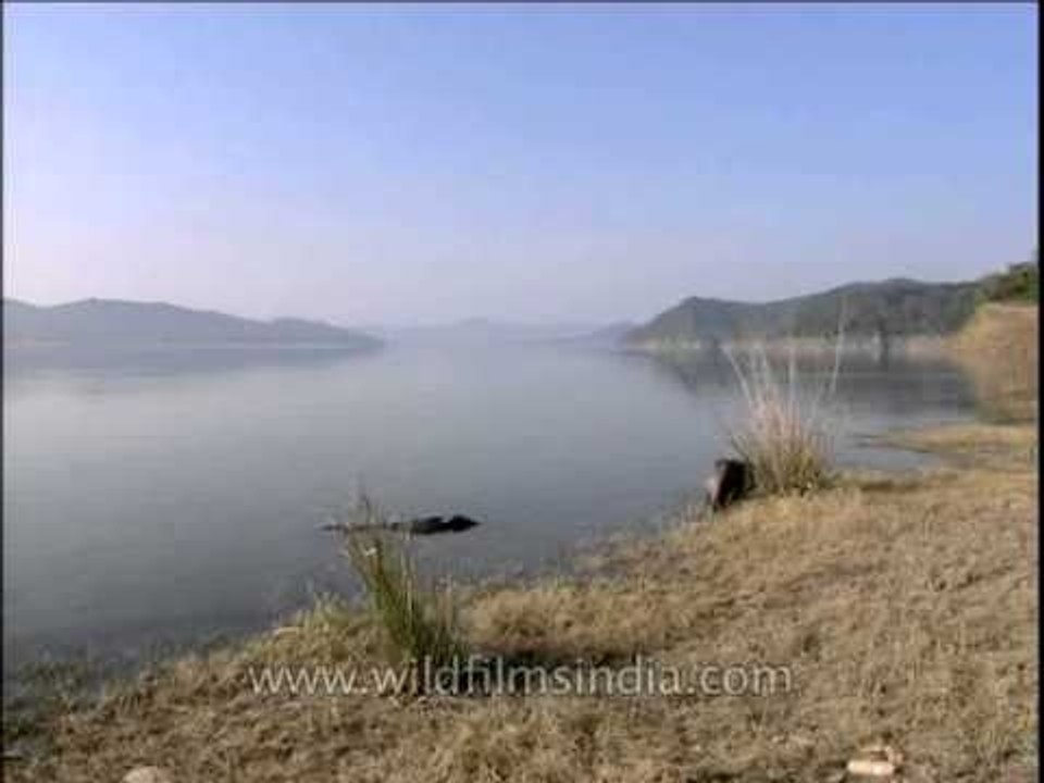 Life line of Corbett National Park - Ramganga River