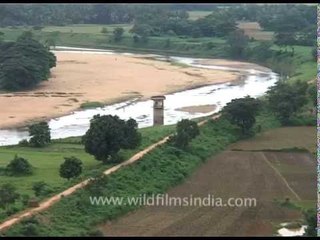 Panoramic view of Daya river plains, Bhubaneswar