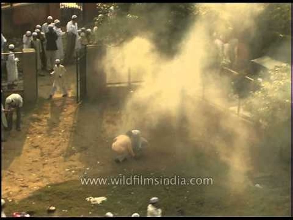 Eid celebration underway in capital