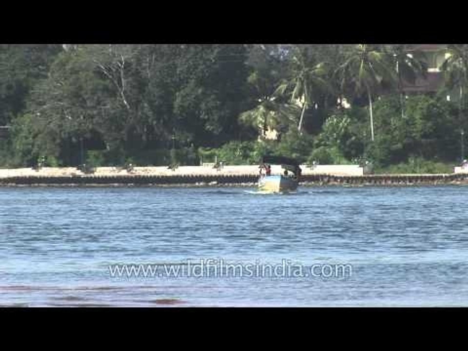 Explore the backwaters of Kerala