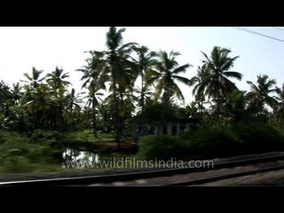 The Joys of a Local Train Ride: Kerala