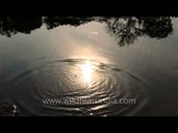 Sun reflection on the water of Godavari