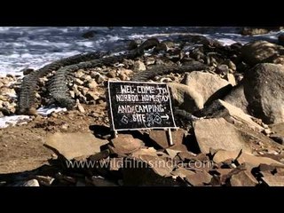 Camping sites in Ladakh