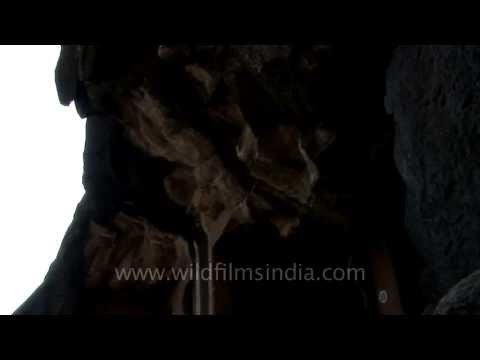 Pandavleni Cave: The oldest structures situated in the vicinity of Nasik