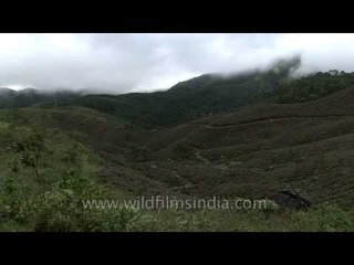Munnar : a colonial history on the Western Ghats of Kerala