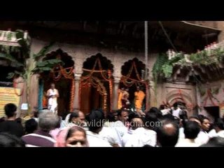 Celebrating Krishna's birthday with full of enthusiasm