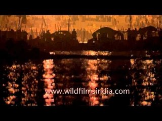 Priest lighting the lamps for aarti at Sangam