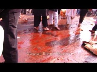 Bloodshed at Muharram