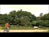 Lalbagh - Nature lovers delight in the heart of Bangalore