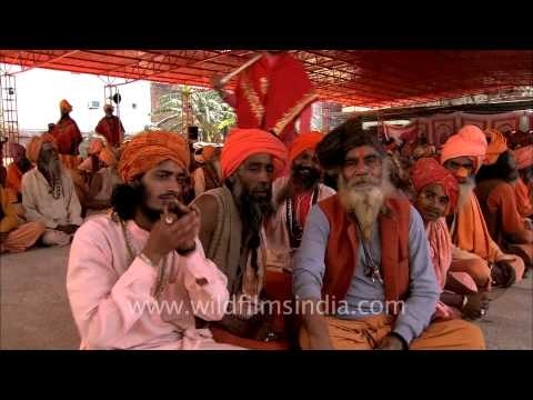 Sadhus enjoying chillum during Samashti Bhandara, Maha Shivratri