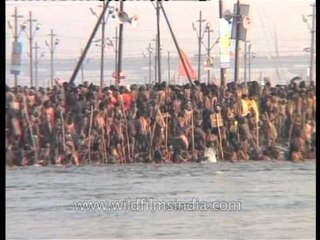 Naga sadhus taking holy dip during Shahi snan at Maha Kumbh 2013