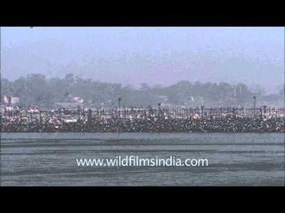 Over 3 crores take dip on Kumbh's most auspicious day of Maha Shivratri