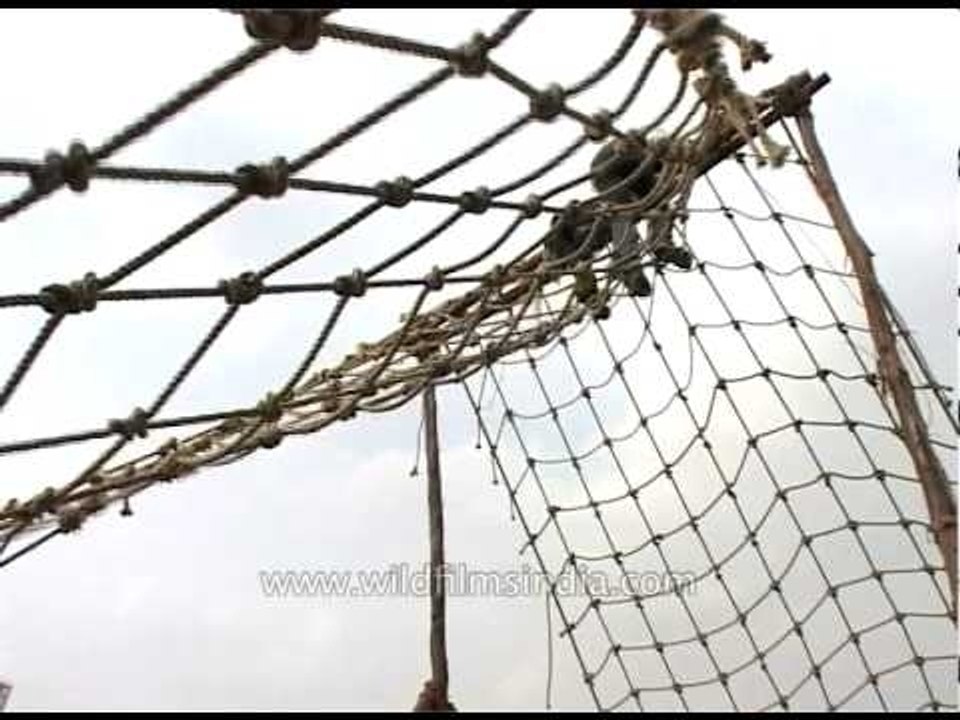 Climbing nets and ropes